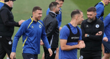 Nogometna reprezentacija BiH, Džeko i Katić