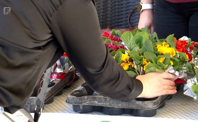 Građani u Mostaru plastične boce zamijenili za sadnice cvijeća