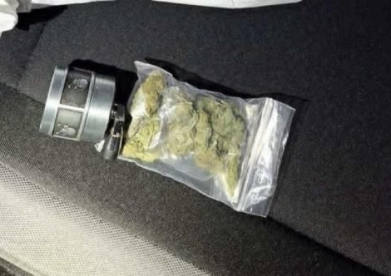 Mladići iz Posušja u Grudama uhvaćeni s marihuanom