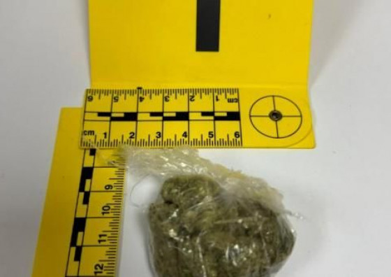 Kod maloljetnika u Grudama pronađena marihuana