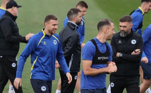 Nogometna reprezentacija BiH, Džeko i Katić