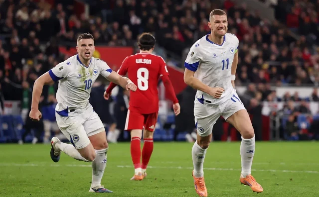 Nogometna reprezentacija BiH