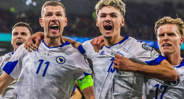 BiH reprezentacija džeko