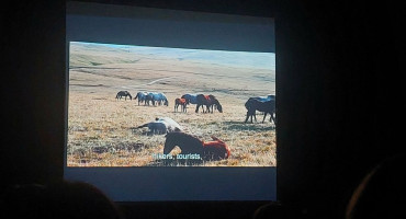 Dokumentarni film „Livanjski divlji konji – između slobode i nebrige“ u Mostaru