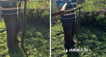 poskok od pola metra