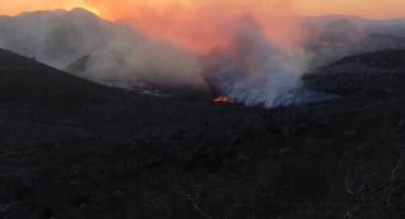 požar trebinje
