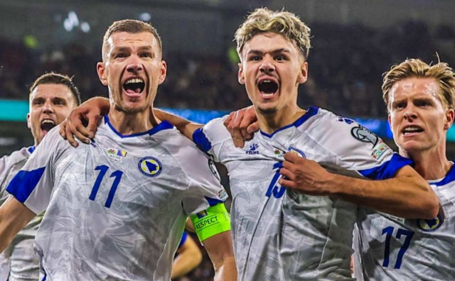 BiH reprezentacija džeko