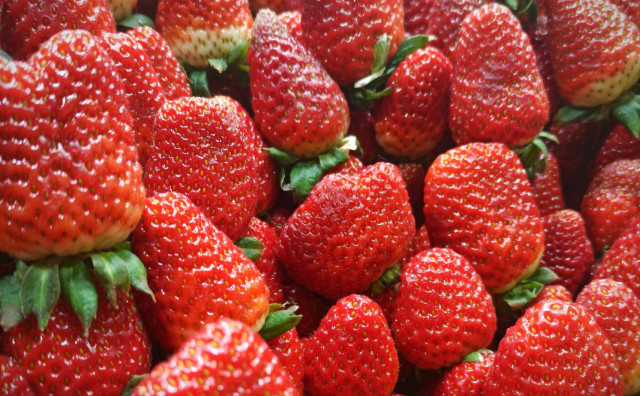 Evo zašto su jagode među najzdravijim sezonskim voćem