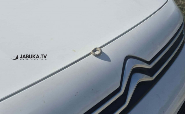 Vozač zatekao poskoka ispod haube automobila u Čitluku