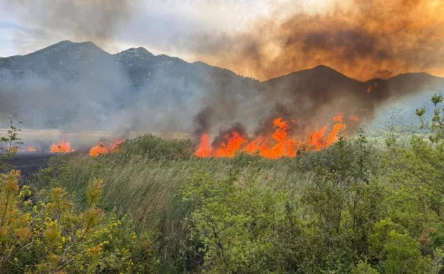 Veliki požar u dolini Neretve