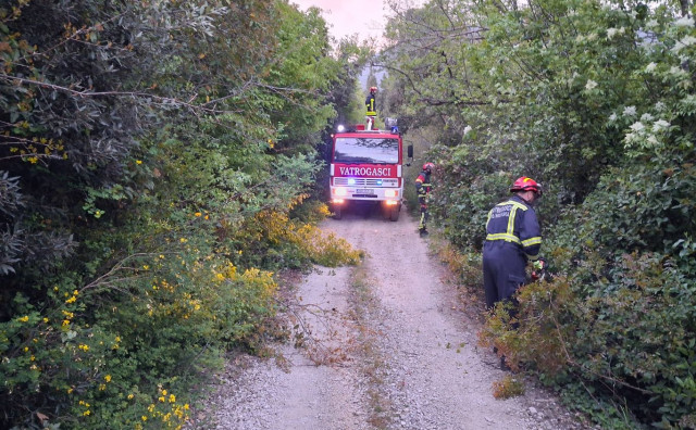 Ugašen požar u zaštićenom rezervatu u dolini Neretve