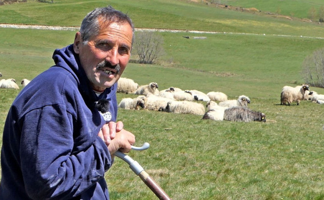 Ramulj drži 1000 ovaca, ali upozorava: 'Sve je manje onih koji žele ovaj posao'