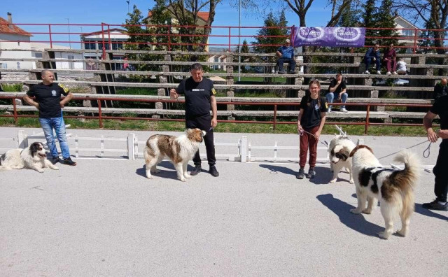 U Tomislavgradu predstavljeni najljepši tornjaci iz BiH i regije