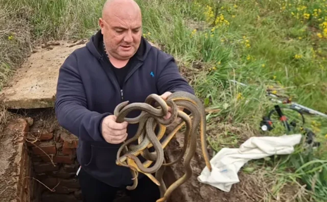 Poznati zmijolovac rukama uklonio šest zmija iz šahta