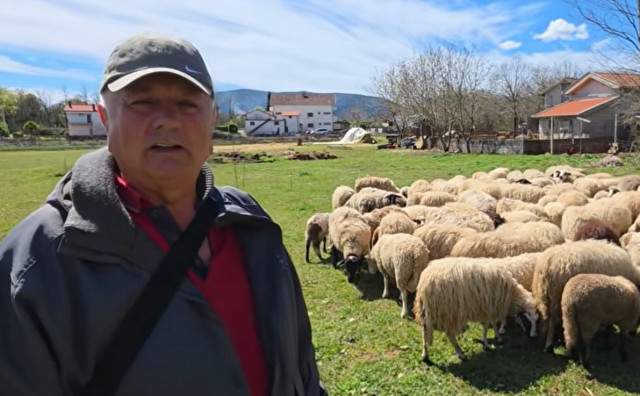 Iz Švicarske se vratio u Hercegovinu, kupio ovce i započeo novi život