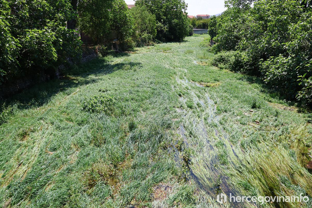 Jasenica Urbanovo