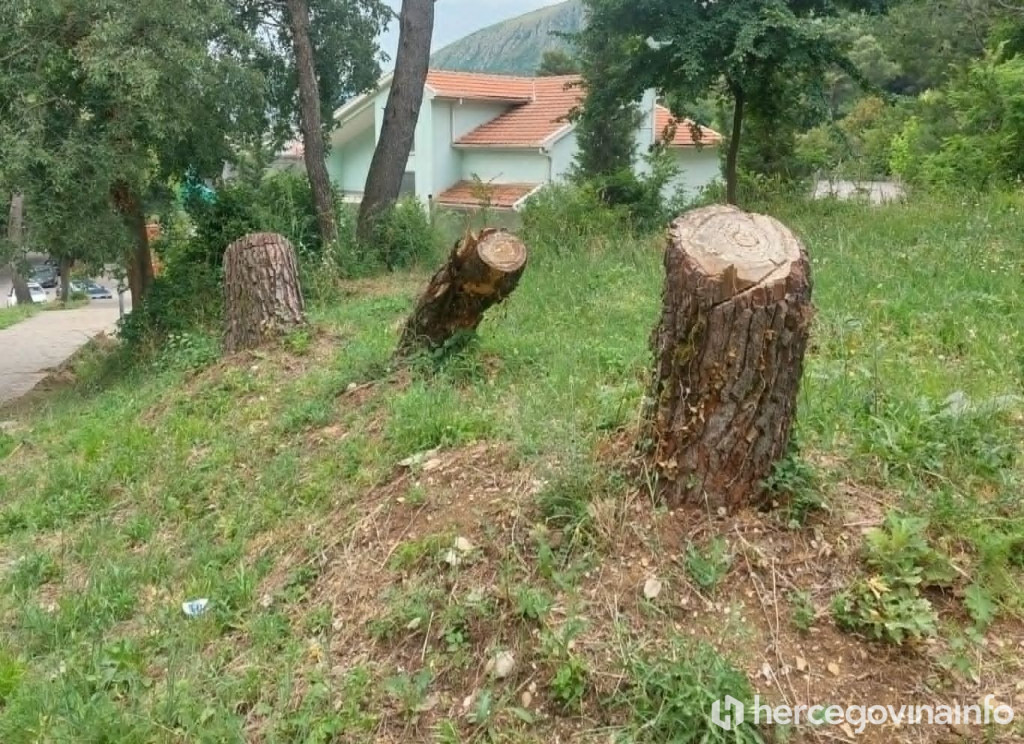 Poru&scaron;ena stabla na Malim stepenicama
