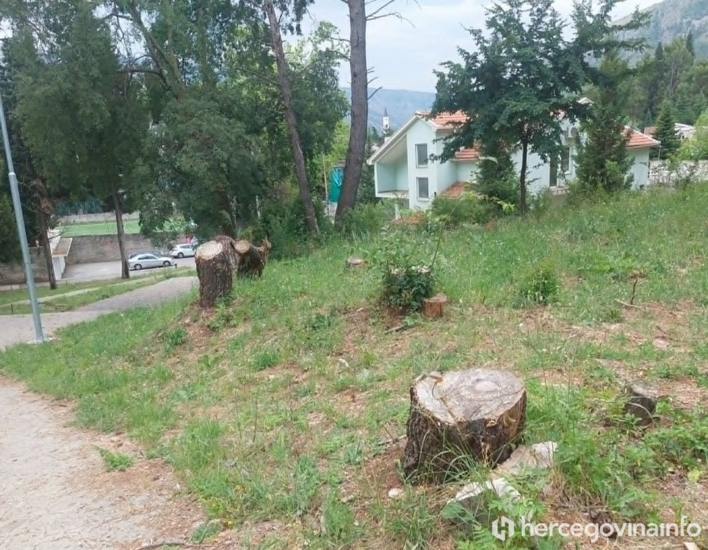 Poru&scaron;ena stabla na Malim stepenicama