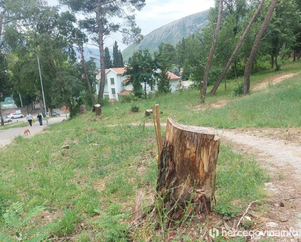 Poru&scaron;ena stabla na Malim stepenicama