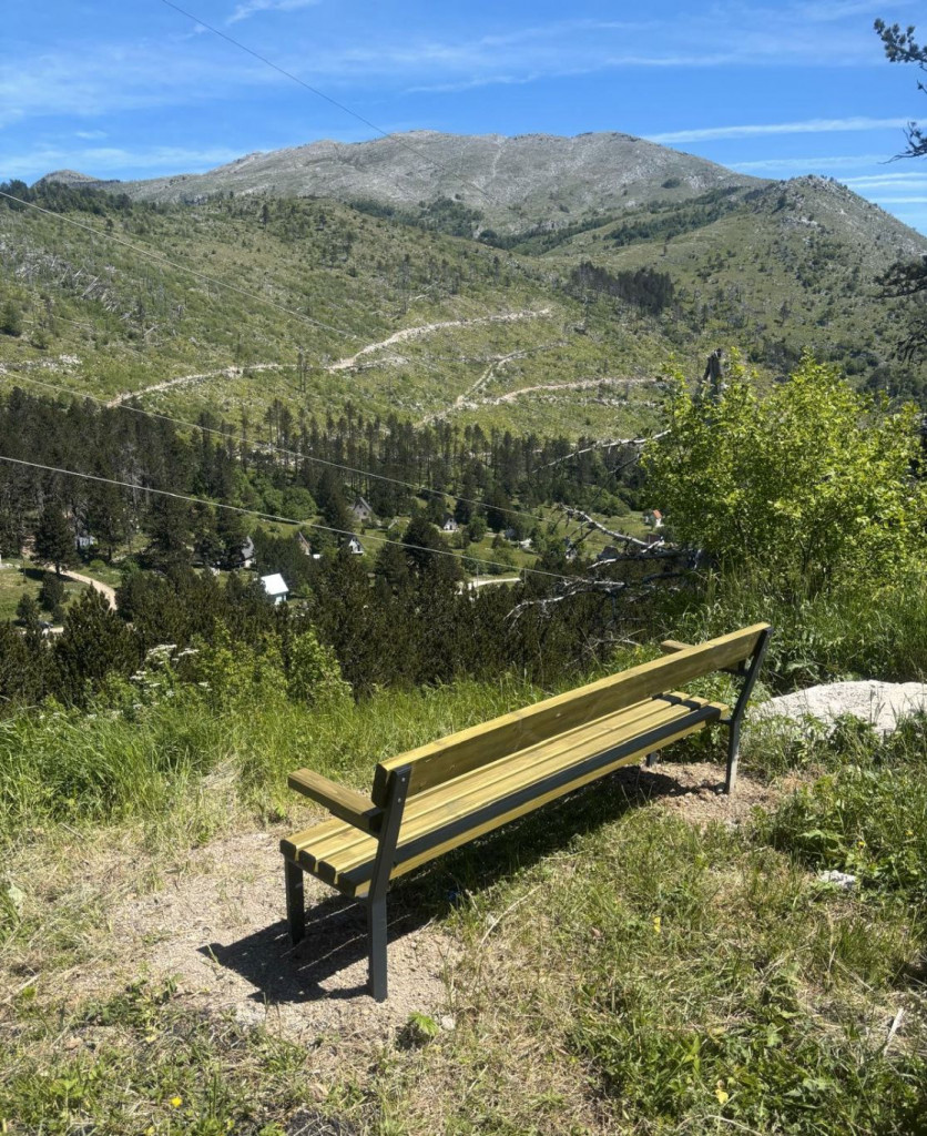 Rujište klupe