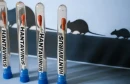 Hantavirus nije novi Covid i ne treba paničariti
