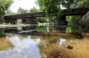 Jasenica Urbanovo