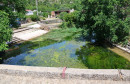 Jasenica Urbanovo