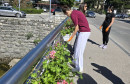 Livanjski učenici cvijećem uljepšali gradske ulice