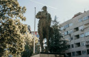 Široki gojko šušak