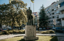 Široki gojko šušak