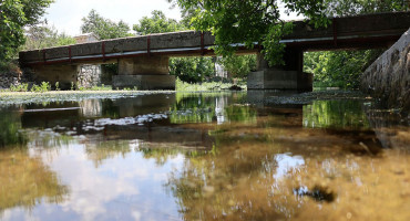 Jasenica Urbanovo