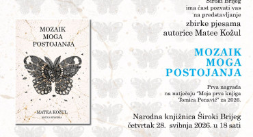 Mozaik moga postojanja
