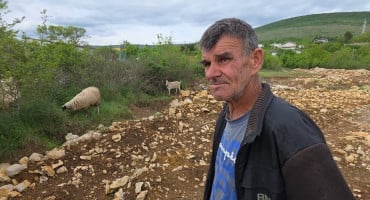 Pastir Isad Fišić