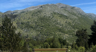Rujište klupe