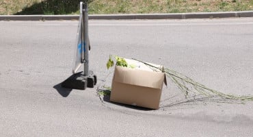 Rupa na cesti, Ulica nadbiskupa Čule