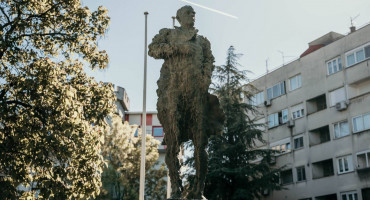 Široki gojko šušak