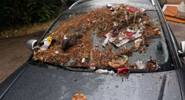 smeće automobil