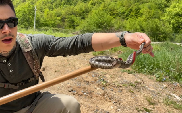 Wildlife influencer iz BiH uhvatio poskoka rukama: 'Najopasnija zmija Balkana'