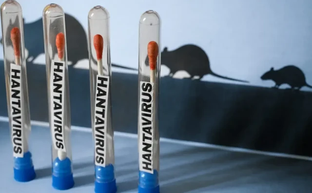Hantavirus
