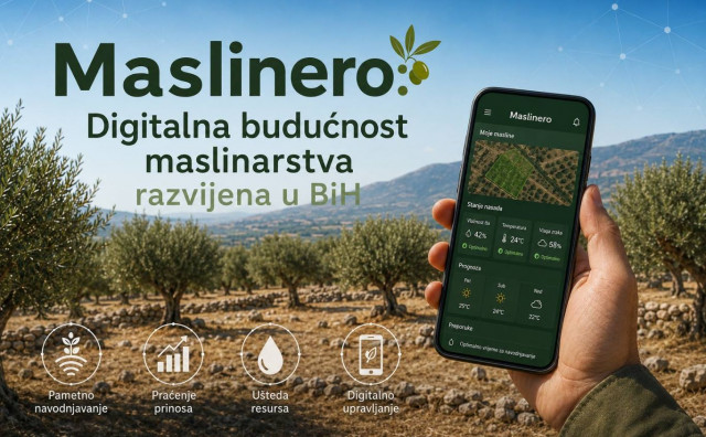 U Čapljini razvijena aplikacija 'Maslinero', moderna platforma za upravljanje maslinicima