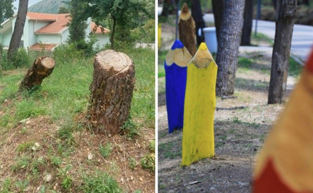 Porušena stabla 