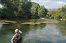 mušičarenje