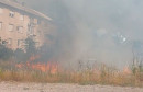požar u Koloniji