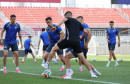 Stjepan Radeljić, Ivan Bašić, BiH Katar