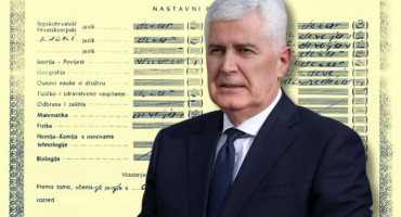 covic diploma