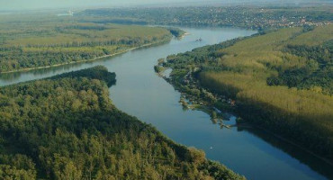 Drava 