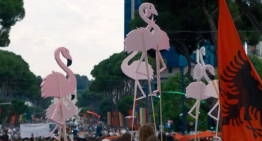 Flamingo revolucija