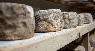 Ile de France Petit Brie sir