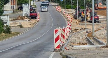kaktus čitluk