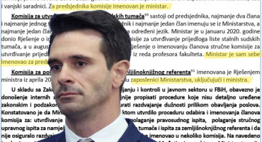 Skobic revizija
